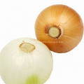 Round Fresh Yellow Onions Fresh Cheap Onion